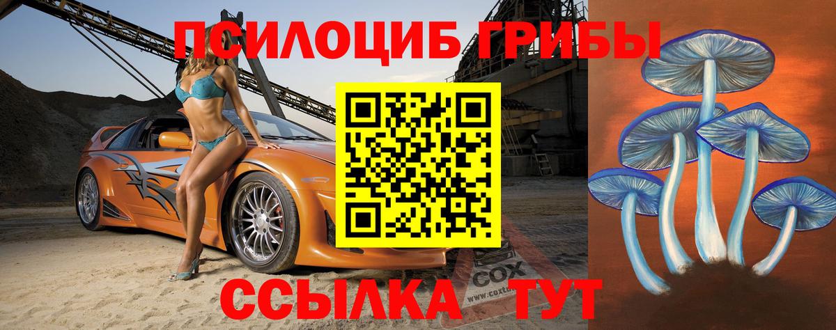 закладка  Берёзовский  Псилоцибиновые грибы Magic Shrooms 
