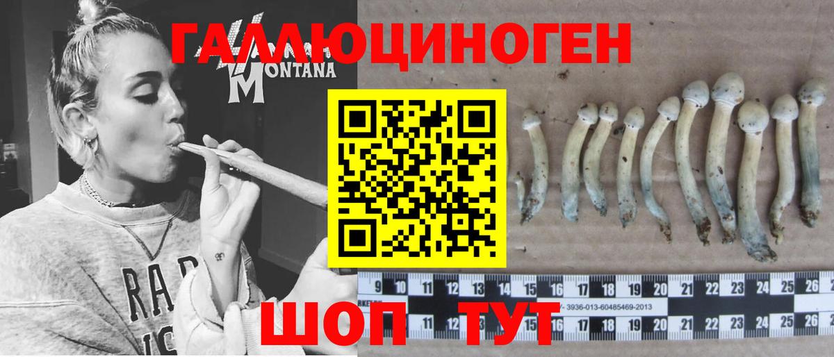 Галлюциногенные грибы Cubensis  Вход с VPN  Берёзовский 
